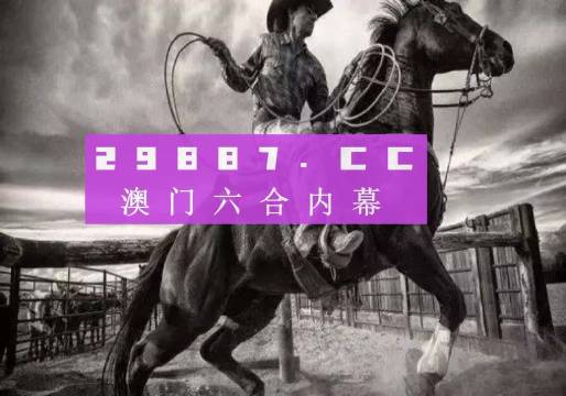 澳门正版免费全年资料|全面释义解释落实