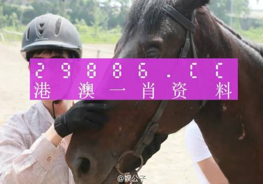 王中王资料大全料大全1|实用释义解释落实